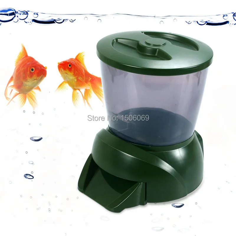 fish for dogs feeding guide