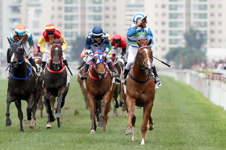 hong kong horse racing form guide