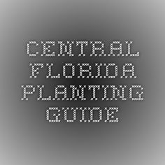 central florida vegetable gardening guide