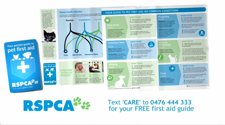pet first aid guide rspca