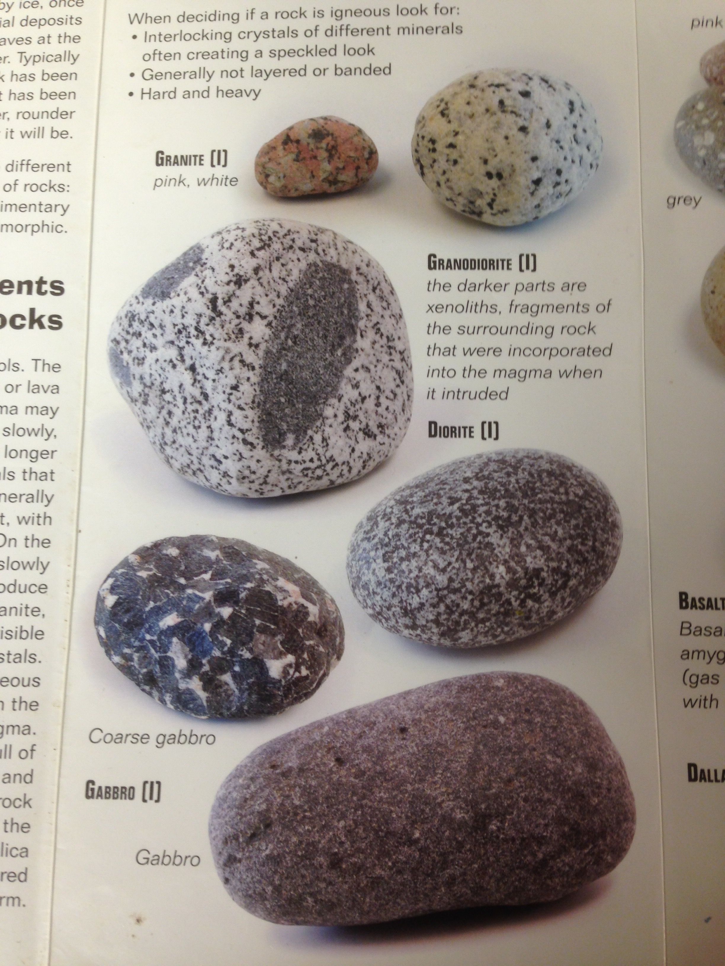 rock guide of minerals and rocks