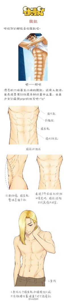 guide to six pack abs