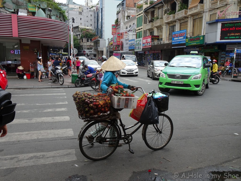ho chi minh private tour guide