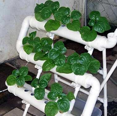 diy hydroponics systems builder guide