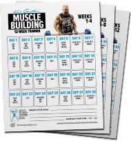 bodyboss ultimate body 12 week fitness guide pdf