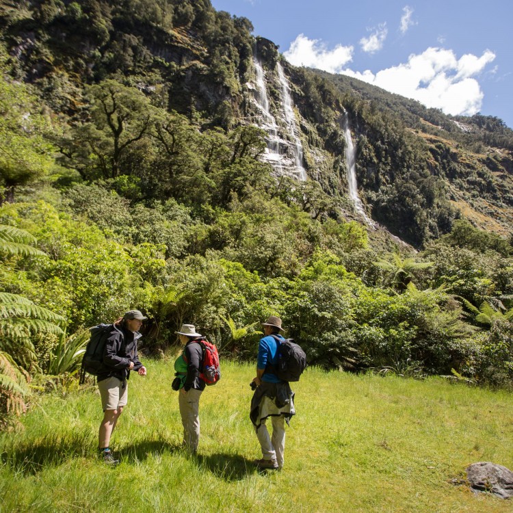 milford track guided day walk